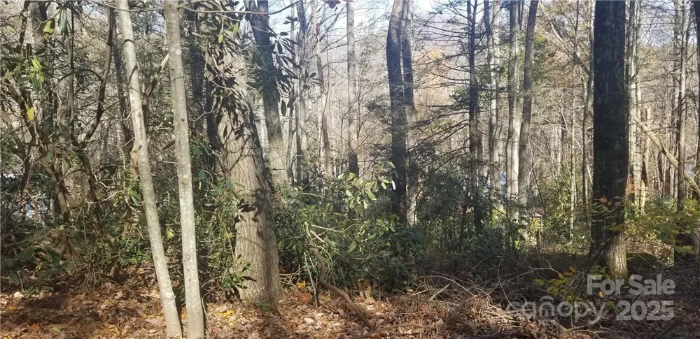 Lot C31 Shady Lane Maggie Valley, NC 28751