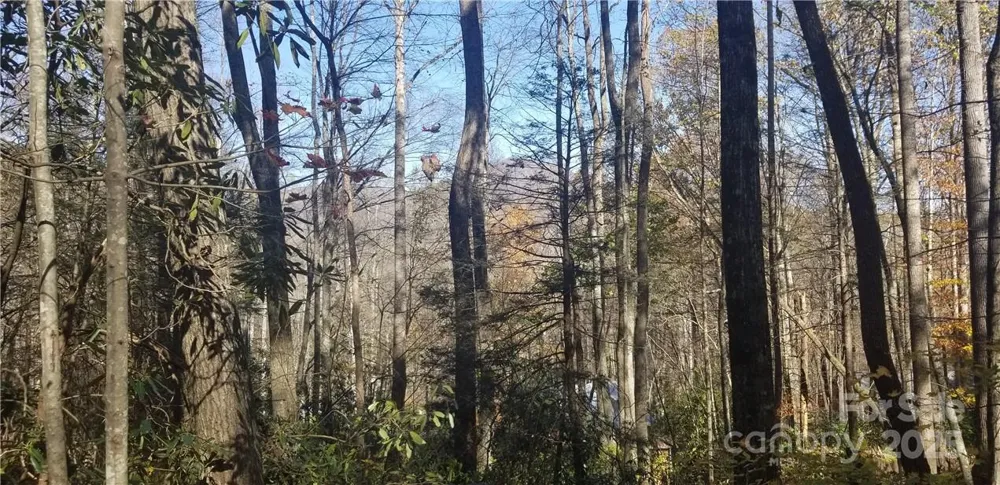 Lot C31 Shady Lane Maggie Valley, NC 28751