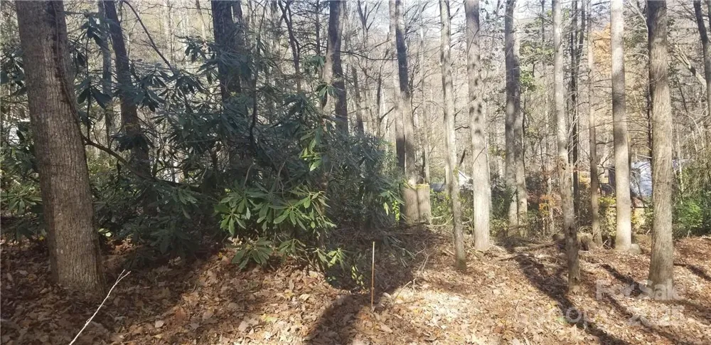 Lot C31 Shady Lane Maggie Valley, NC 28751