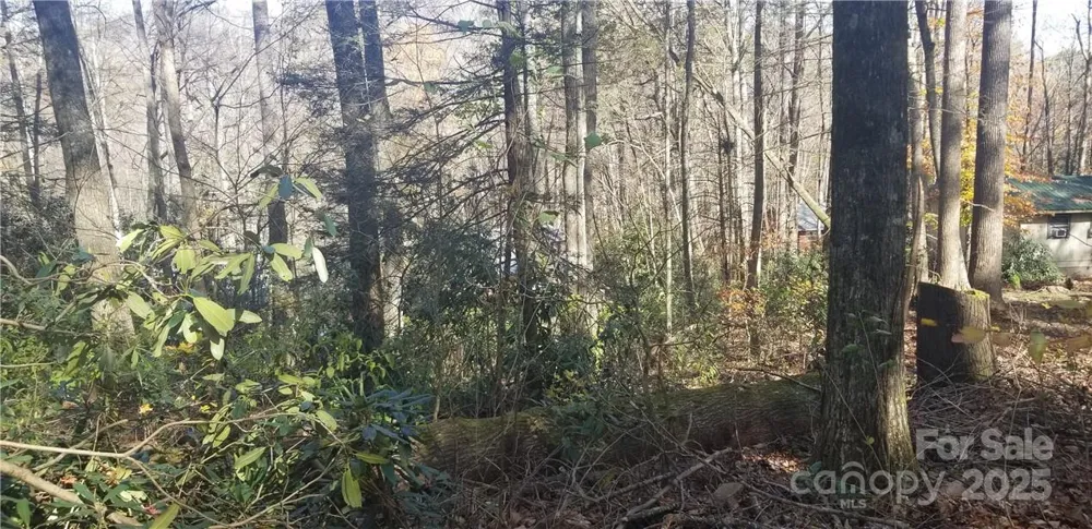 Lot C31 Shady Lane Maggie Valley, NC 28751