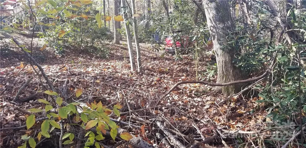 Lot C31 Shady Lane Maggie Valley, NC 28751