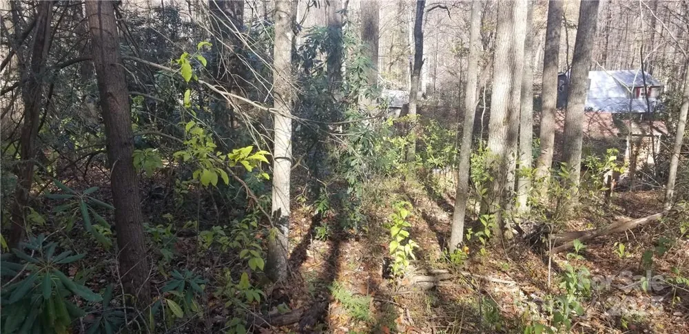 Lot C31 Shady Lane Maggie Valley, NC 28751