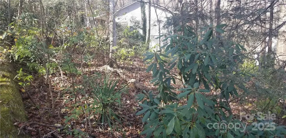 Lot C31 Shady Lane Maggie Valley, NC 28751