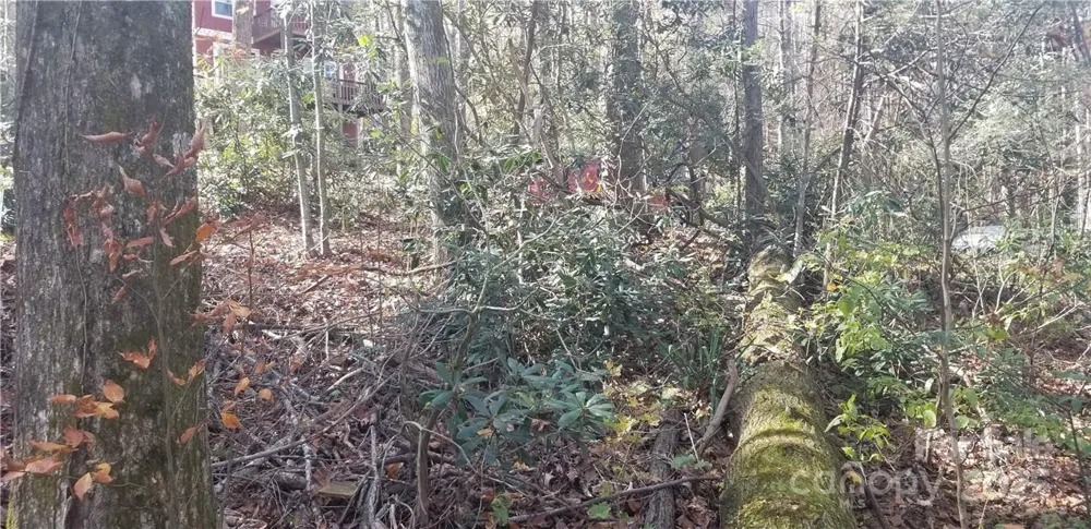 Lot C31 Shady Lane Maggie Valley, NC 28751