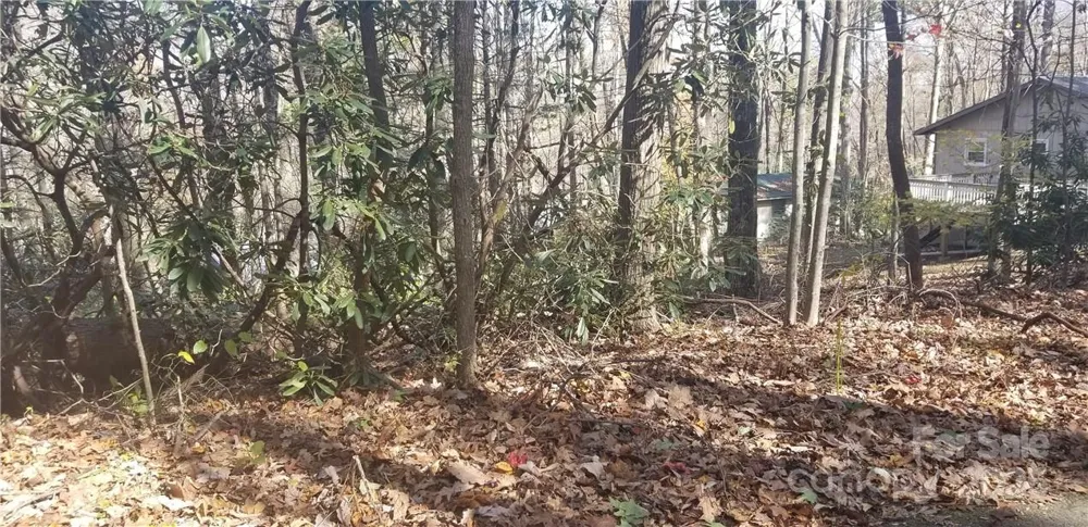 Lot C31 Shady Lane Maggie Valley, NC 28751