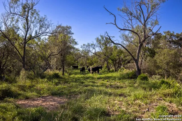 444 County Road 748 Yancey, TX 78886