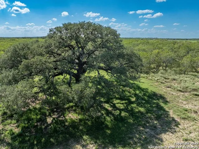 444 County Road 748 Yancey, TX 78886