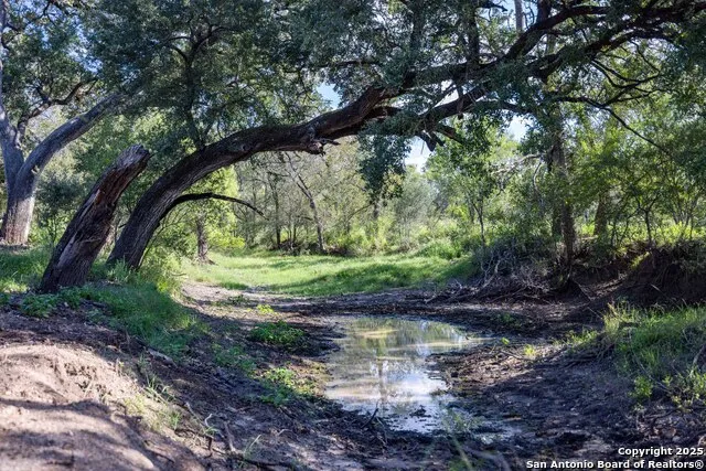 444 County Road 748 Yancey, TX 78886