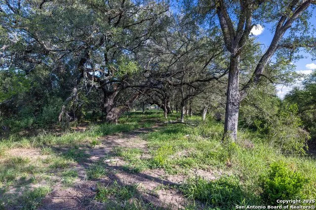 444 County Road 748 Yancey, TX 78886