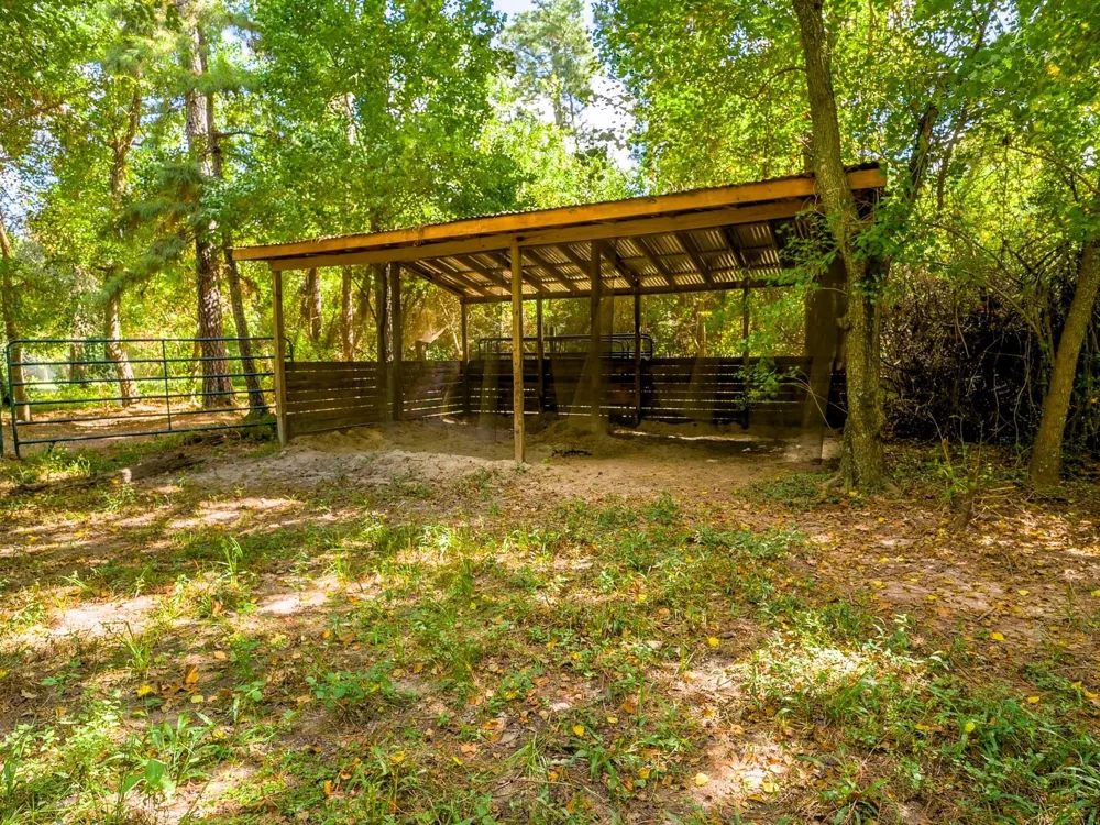 39526 Cimarron Way Magnolia, TX 77354