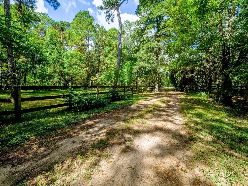 39526 Cimarron Way Magnolia, TX 77354