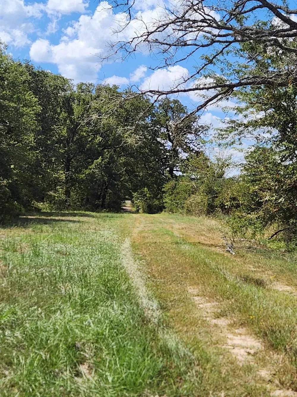17454 Fm 542 Oakwood, TX 75855