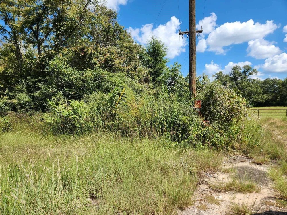 17454 Fm 542 Oakwood, TX 75855