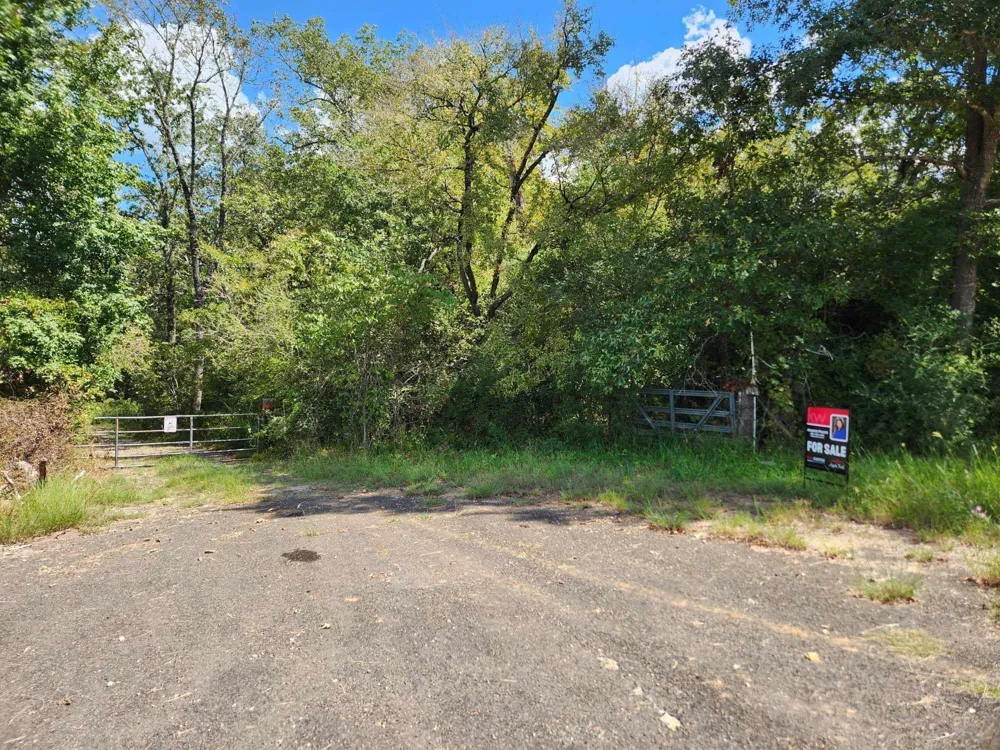 17454 Fm 542 Oakwood, TX 75855