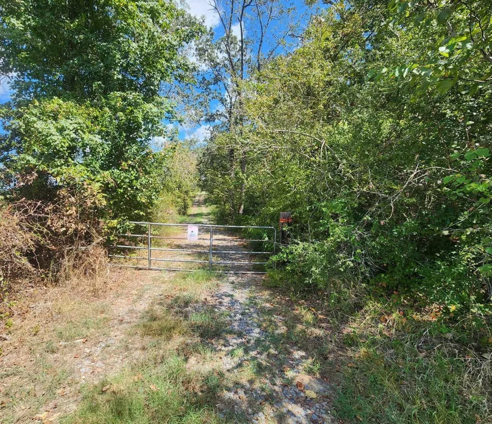 17454 Fm 542 Oakwood, TX 75855