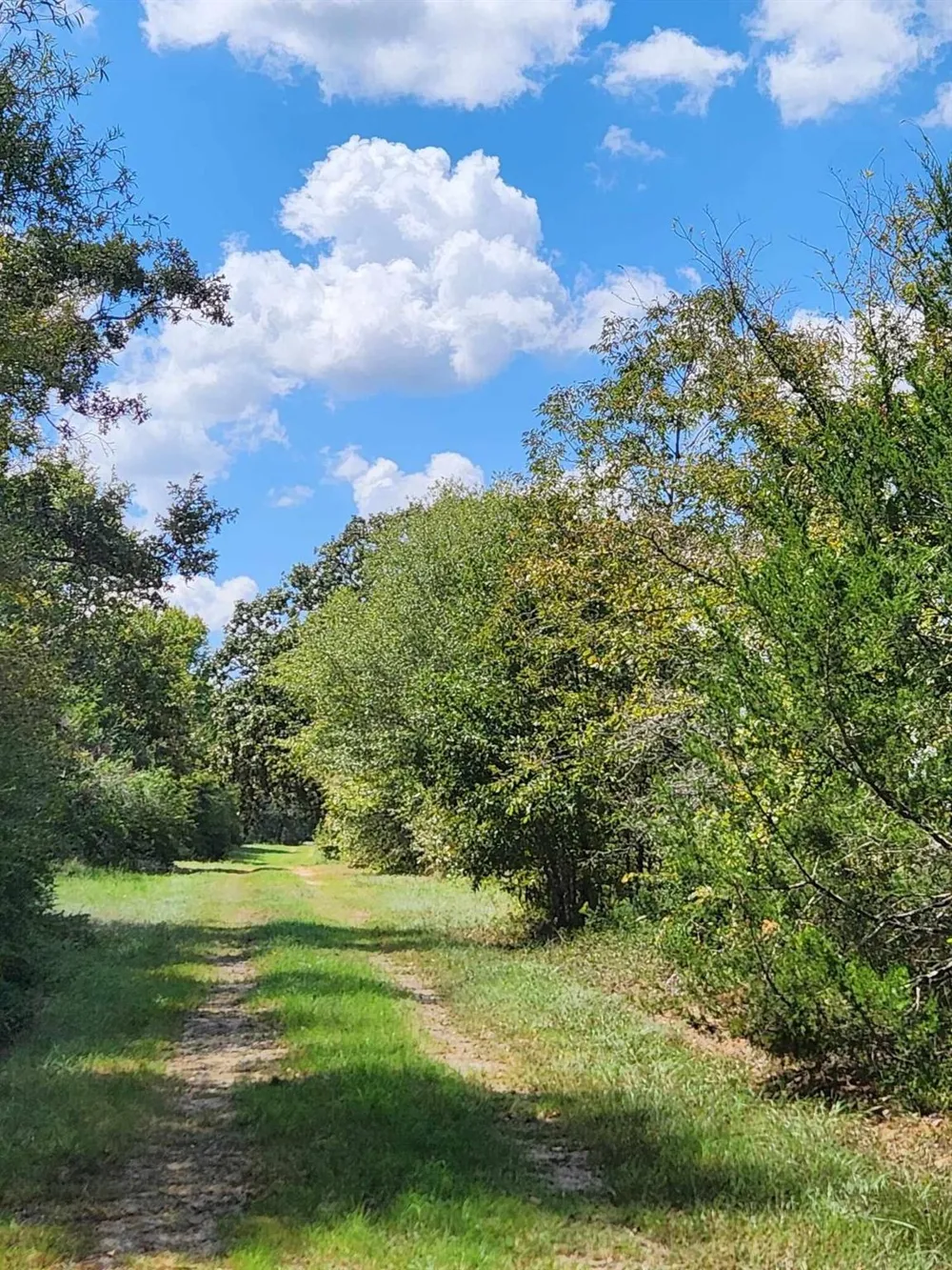 17454 Fm 542 Oakwood, TX 75855