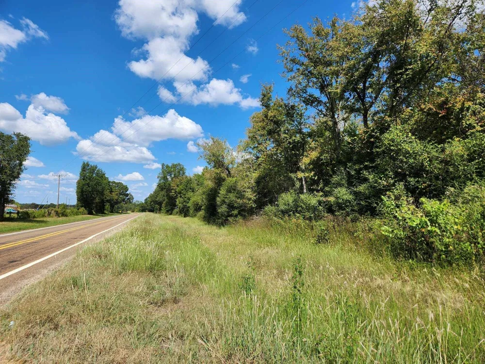 17454 Fm 542 Oakwood, TX 75855