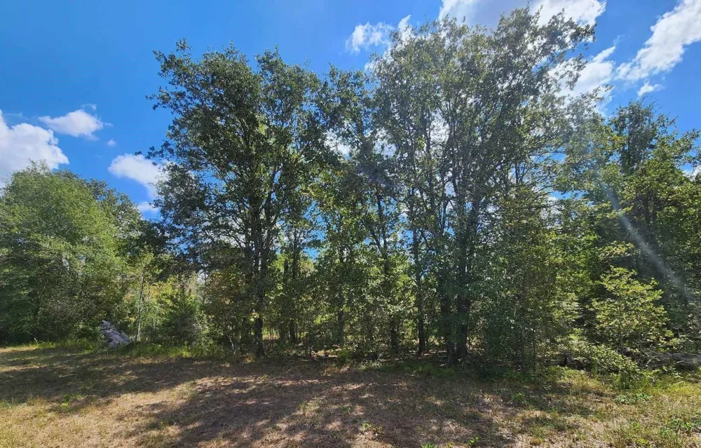 17454 Fm 542 Oakwood, TX 75855
