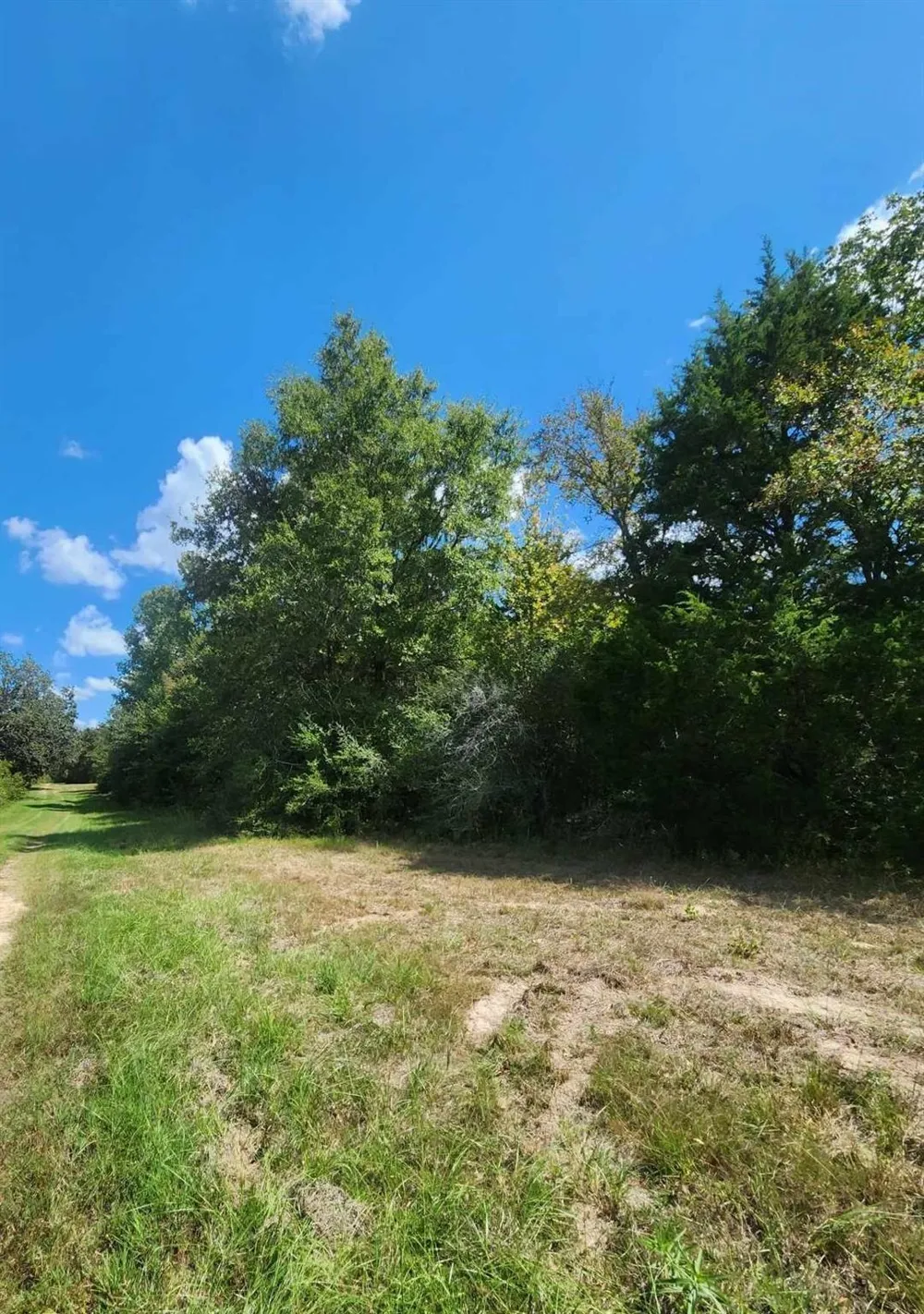 17454 Fm 542 Oakwood, TX 75855