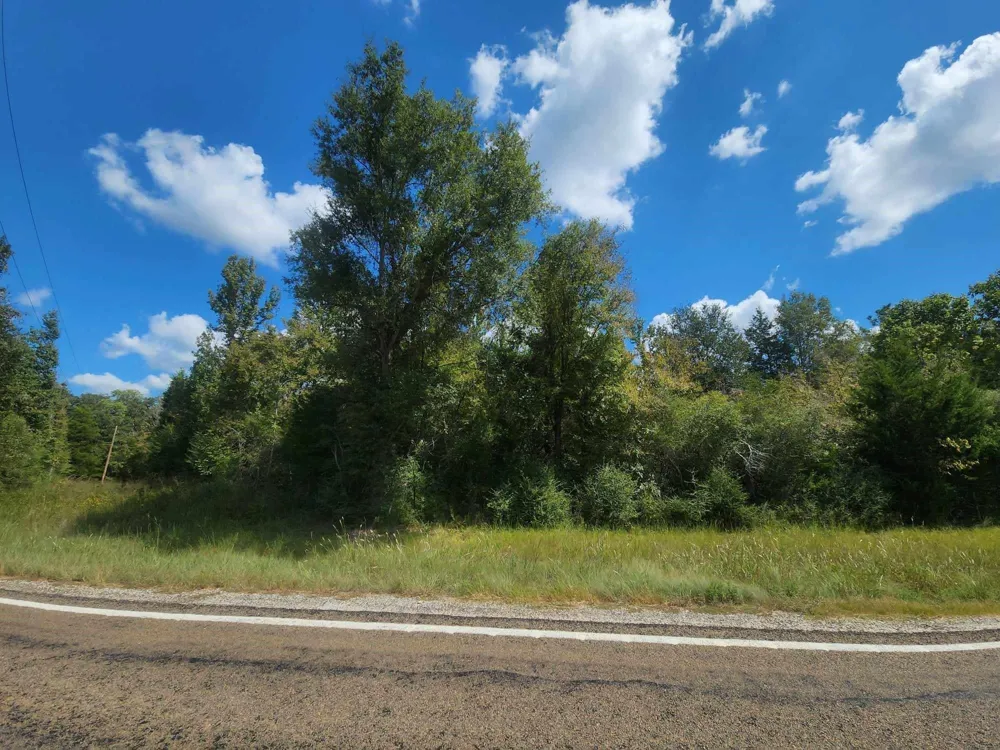 17454 Fm 542 Oakwood, TX 75855