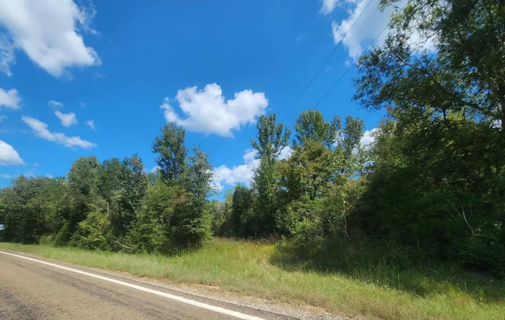 17454 Fm 542 Oakwood, TX 75855