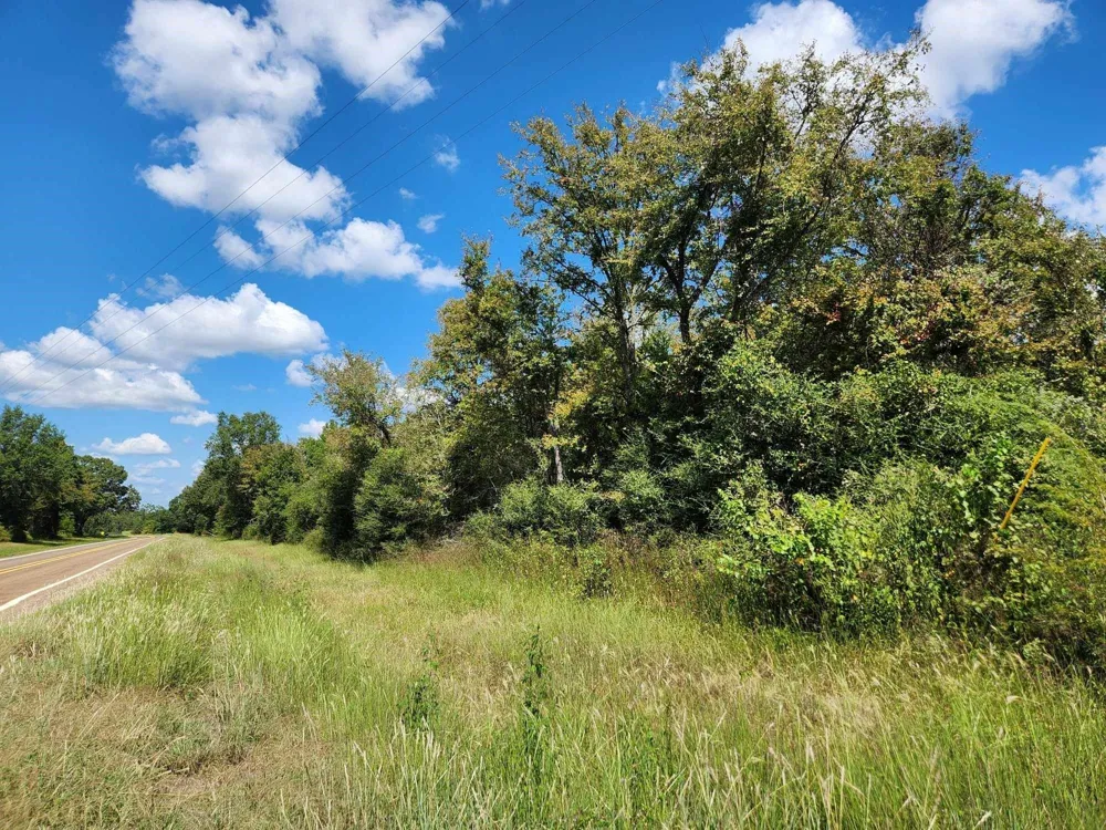 17454 Fm 542 Oakwood, TX 75855