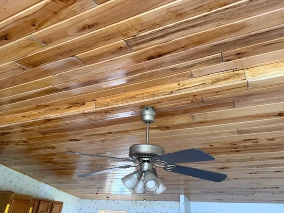 33100 Saint Olaf Way Battle Lake, MN 56515