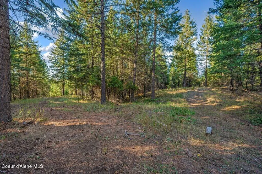 NKA E Son Shine Way Athol, ID 83801