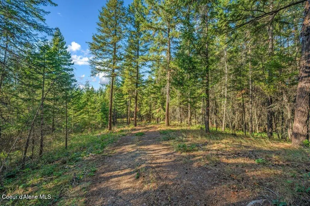 NKA E Son Shine Way Athol, ID 83801