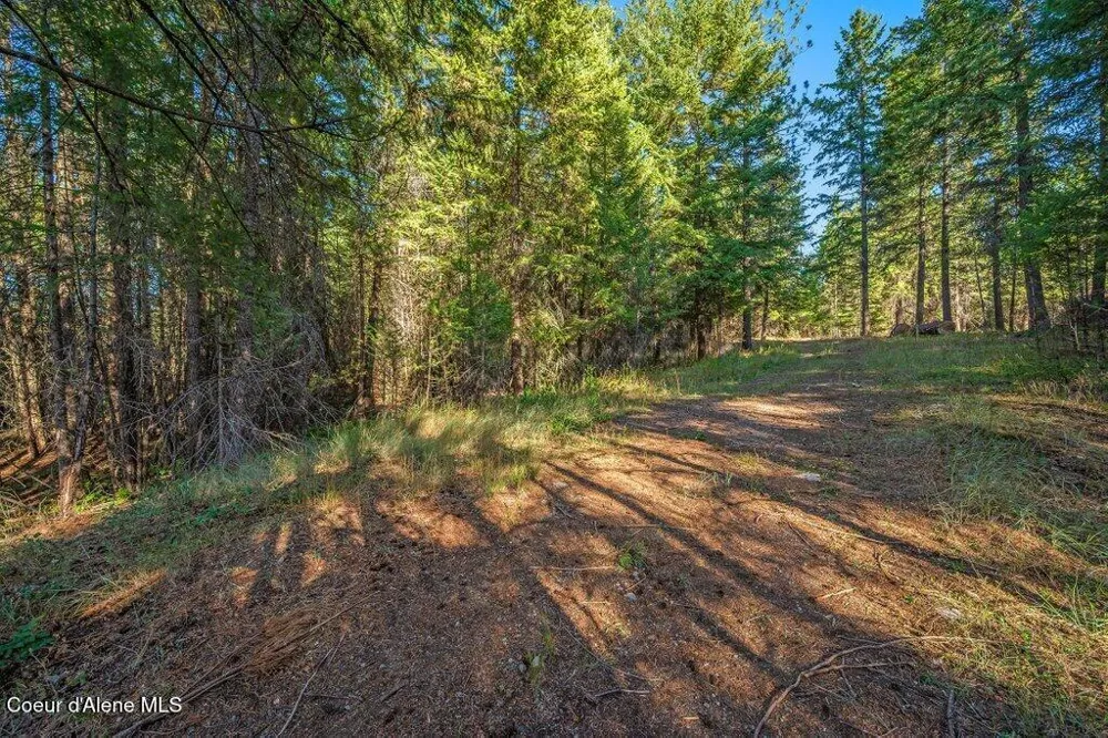 NKA E Son Shine Way Athol, ID 83801