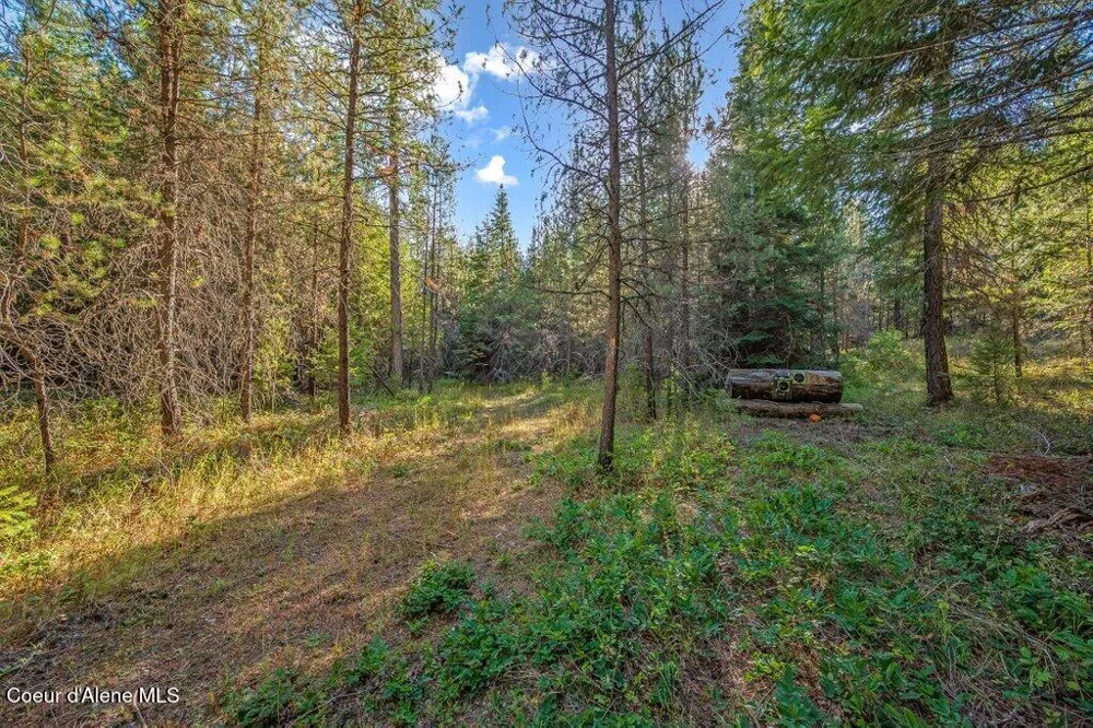 NKA E Son Shine Way Athol, ID 83801