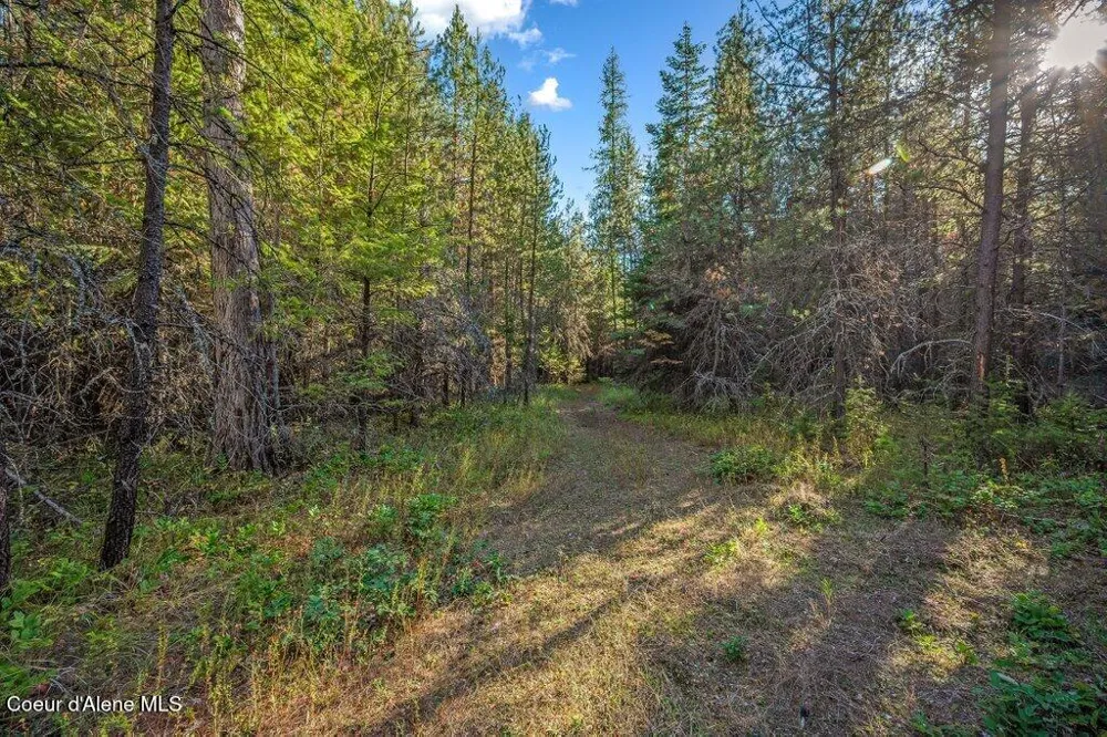 NKA E Son Shine Way Athol, ID 83801
