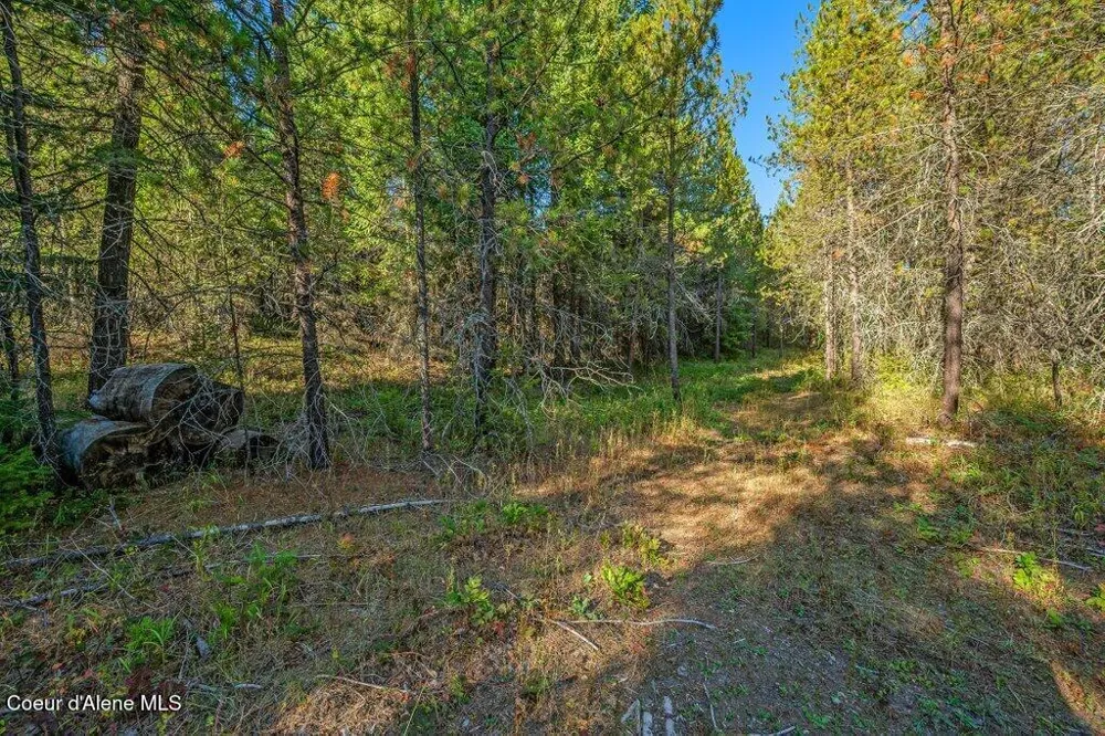 NKA E Son Shine Way Athol, ID 83801
