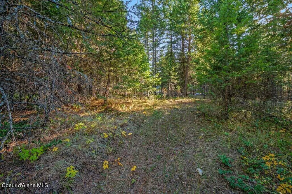 NKA E Son Shine Way Athol, ID 83801