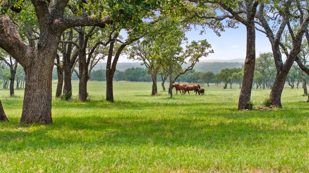 3431 Klett Ranch Road Johnson City, TX 78636