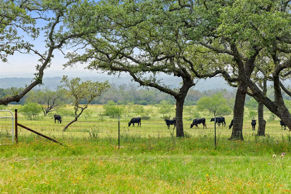 3431 Klett Ranch Road Johnson City, TX 78636
