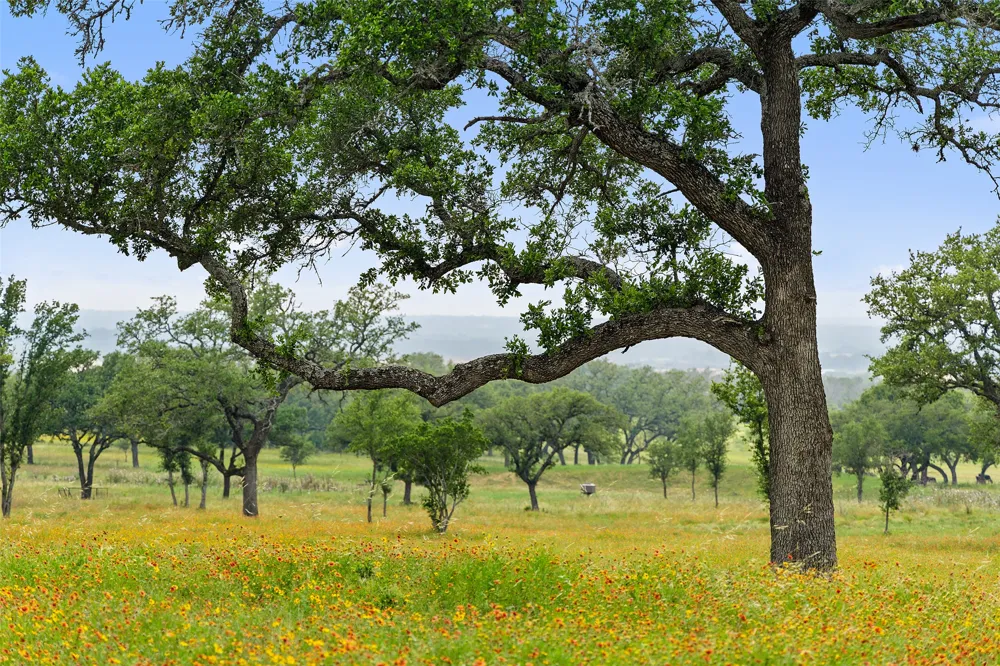 3431 Klett Ranch Road Johnson City, TX 78636
