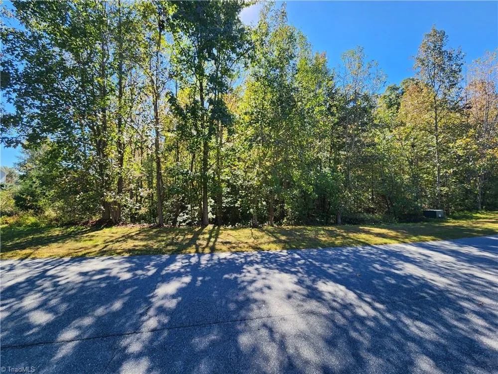 485 Saddlebred Loop Stokesdale, NC 27357