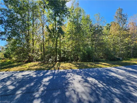 485 Saddlebred Loop