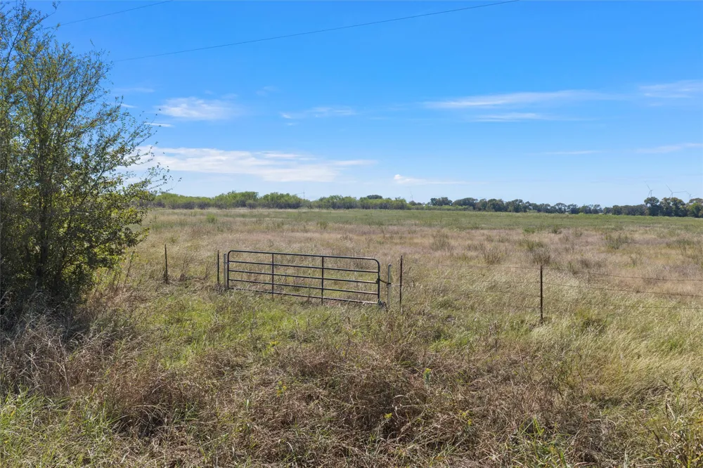 SW CR 4200 Purdon, TX 76679