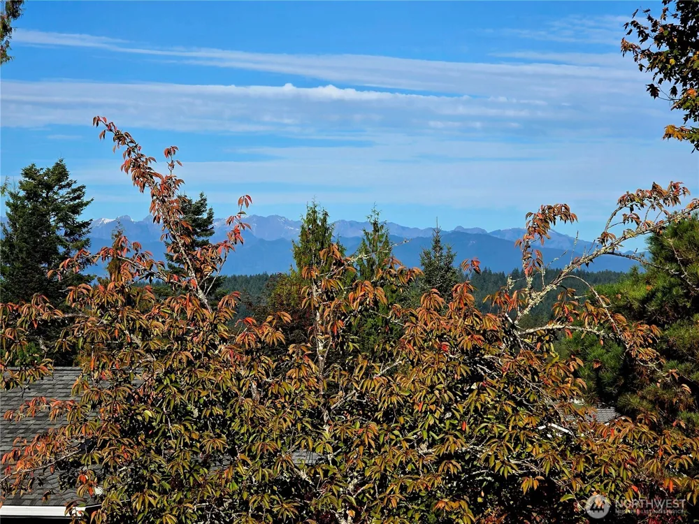 7010 Cormorant Place Bremerton, WA 98312