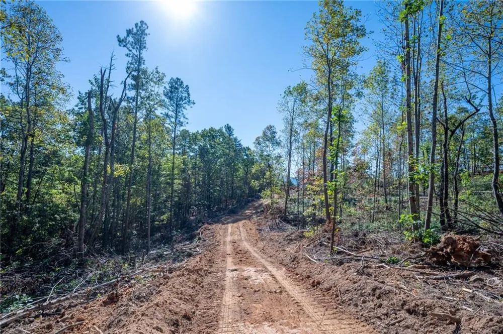 3887 HWY 140 NE Rydal, GA 30171