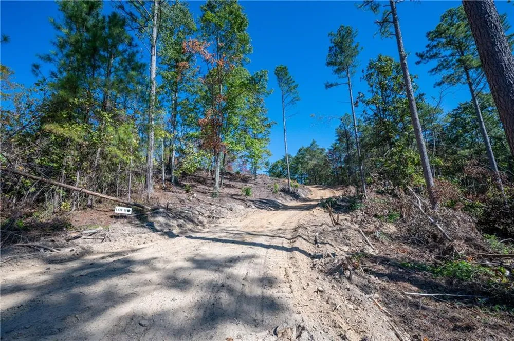 3887 HWY 140 NE Rydal, GA 30171