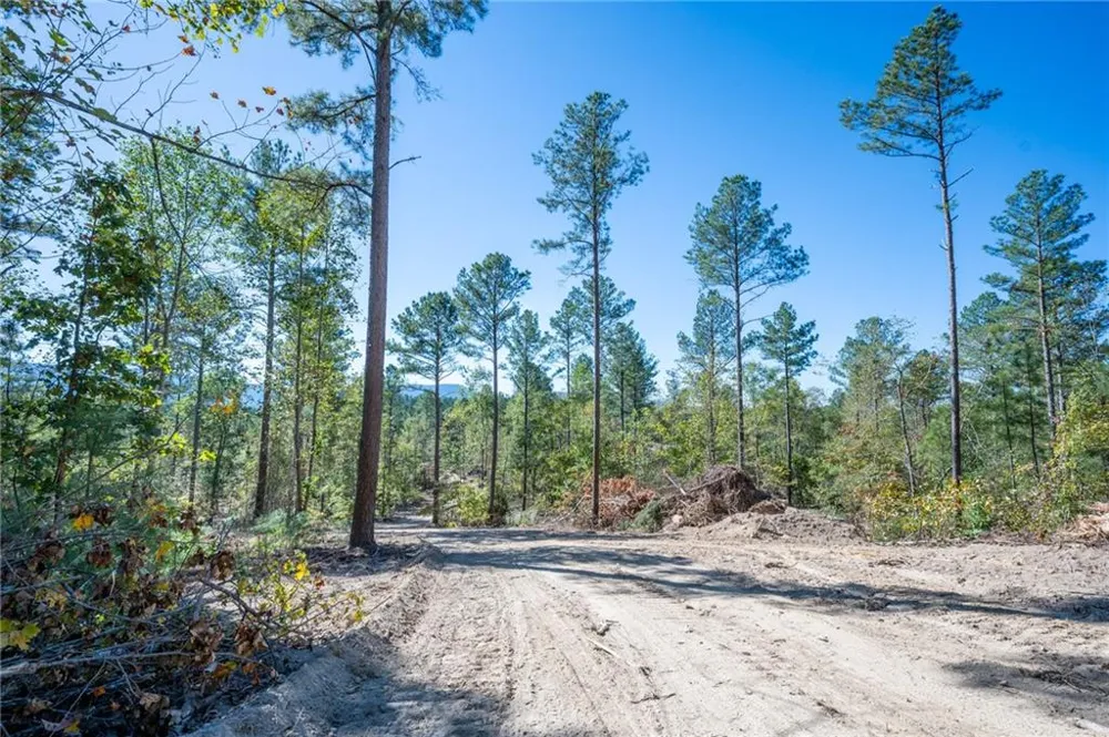 3887 HWY 140 NE Rydal, GA 30171