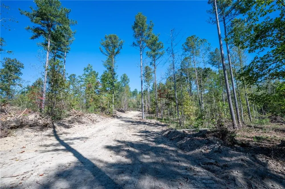 3887 HWY 140 NE Rydal, GA 30171