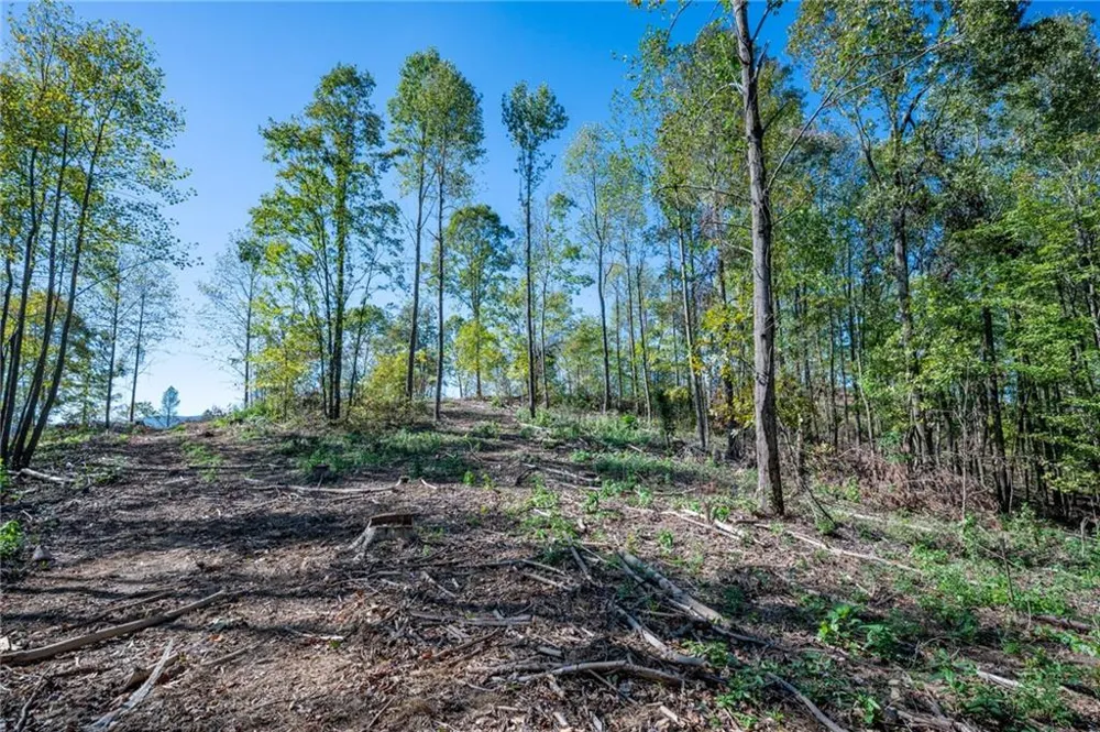 3887 HWY 140 NE Rydal, GA 30171