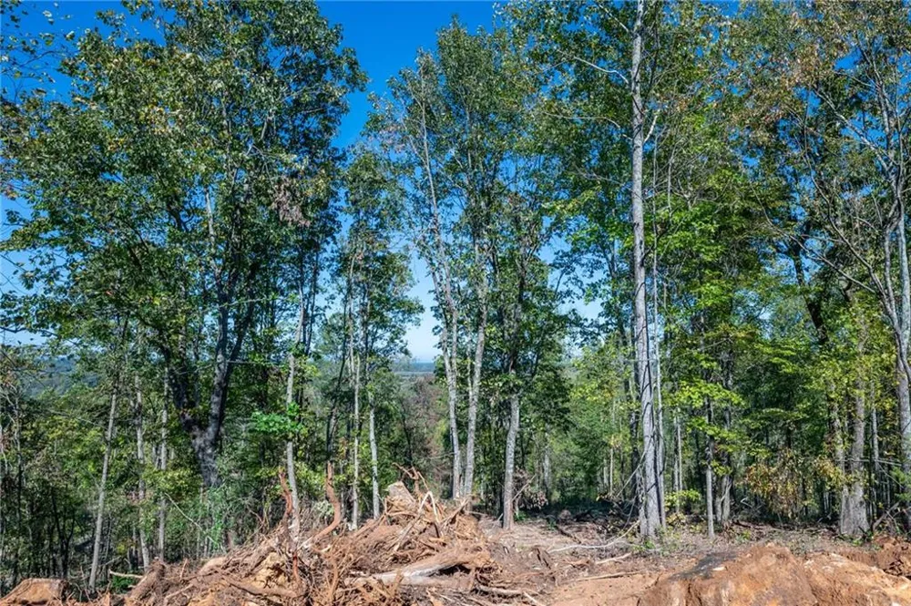 3887 HWY 140 NE Rydal, GA 30171