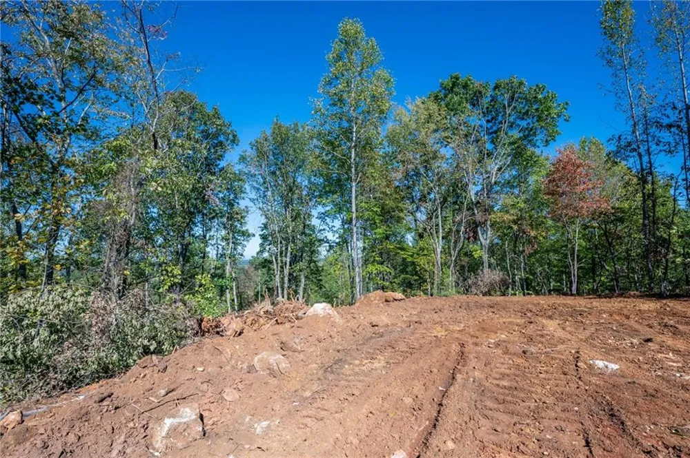 3887 HWY 140 NE Rydal, GA 30171