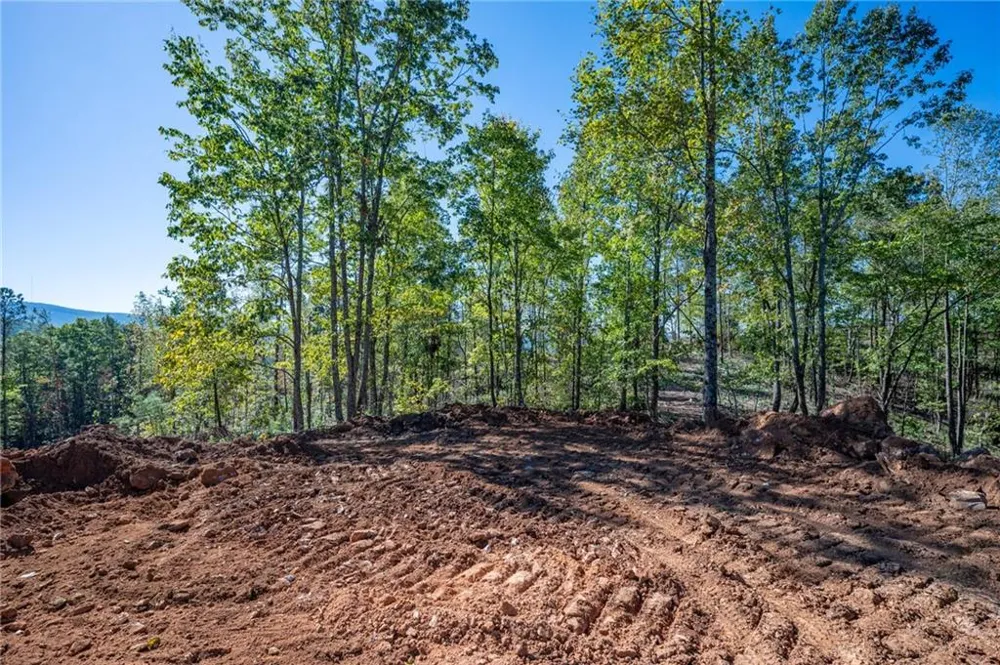 3887 HWY 140 NE Rydal, GA 30171
