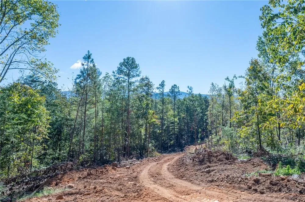 3887 HWY 140 NE Rydal, GA 30171